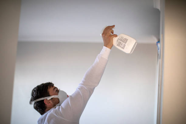 Best Same-Day Mold Removal  in Santa Fe, TX