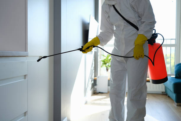 Best Certified Mold Removal  in Santa Fe, TX