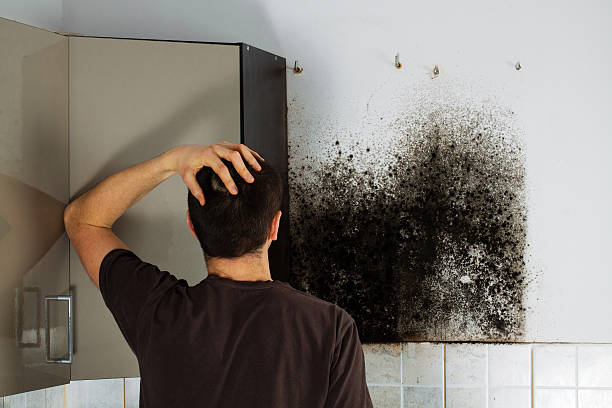 Best Mold Removal Near Me  in Santa Fe, TX